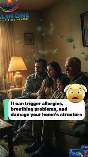 Hidden Mold in Florida Homes? Don’t Ignore This! | Mold Remediation Experts