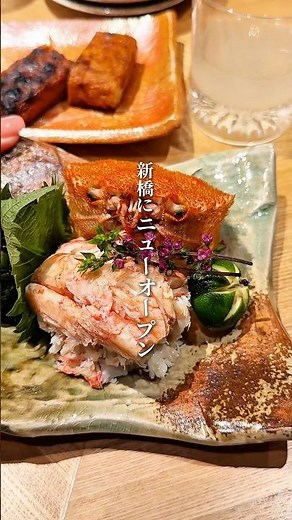 新橋にニューオープン！隠れ家居酒屋！🍶#東京グルメ