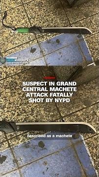 Suspect in Grand Central machete attack fatally shot by NYPD