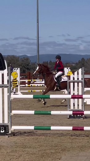 Amazing First 1.10m Jump by Superstar Rider | Barn Check & Tricks