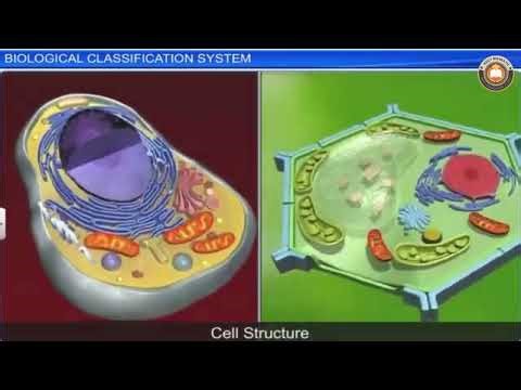 Biological Classification | Animated Video | Class 11 Biology | Neet Bharath Tutorial,neetbharath.in
