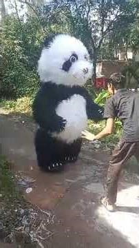 Power Mix New Member panda Coming