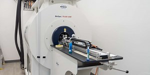 AMRIS adds 7 Tesla MRI/MRS preclinical scanner »  McKnight Brain Institute » University of Florida
