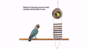 Coconut Shell Bird Nest House Hut with Wood Ladder Bed Swing Toy for Parrot Parakeet Cockatiel Canary Finch Small Parrot Hamster Chinchilla Cage (#2),Bird cage Bird House