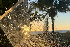 Turn any shower into a luxury experience with this jumbo showerhead