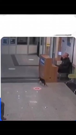 @x_snowfall on Instagram: "🥺🥺🥺 . Follow @x_snowfall for more ❤️"