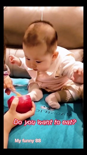 Part 50: Do you want to eat #fun #funny #baby #babyfunny #videofunny #tiktokfunny #foryou #fybシ