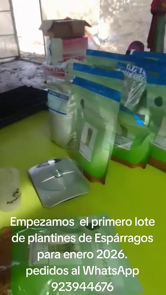 Videos de Ecam Sac (@ecam.sac4) con “sonido original - Ecam Sac”