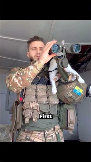 Soldier Secretly Took His Cat to Army Camp