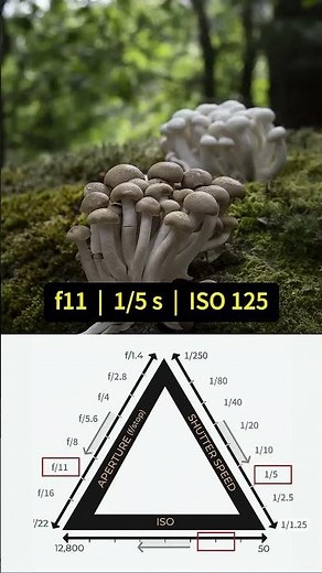 How does shutter speed work with aperture?