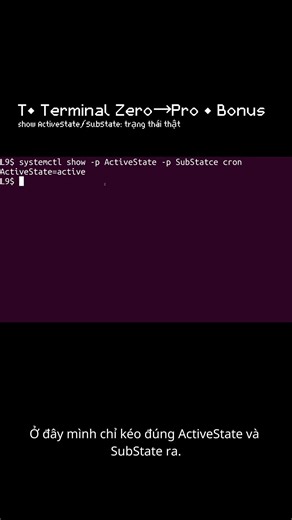 T• systemctl show ActiveState SubState: service đang active hay running? | Bonus (Terminal Zero→Pro)