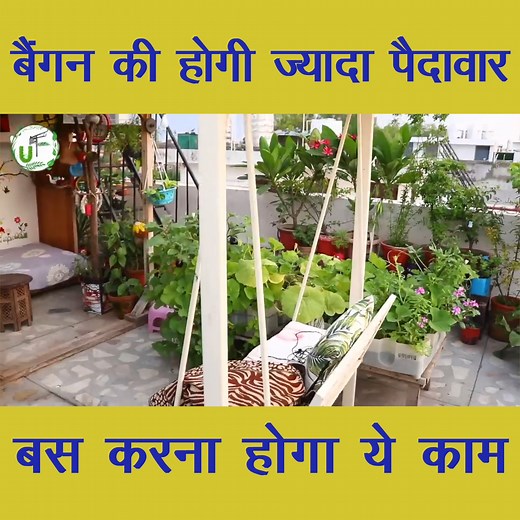 9.3K views · 105 reactions | Unique Farming on Reels | Facebook