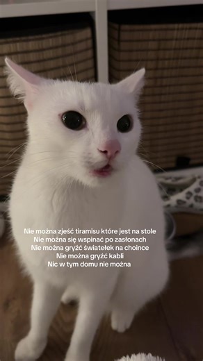 Wolność odebrana 😔