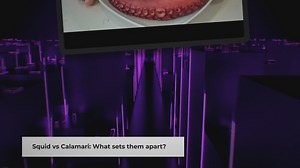 What is the Difference Between Squid and Calamari?