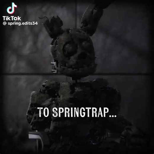 Me if I was spring, locked in the springtrap suit