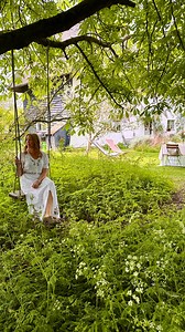 7.5K views · 12K reactions | An afternoon tea party in our blooming...