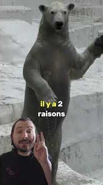 This zoo is ripping off its customers. #generalknowledge #nature #polar #bear #costume