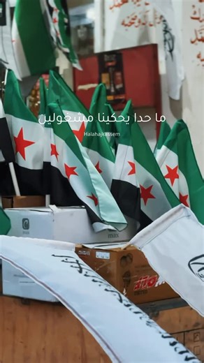 ARC./artist hala on Instagram‎: "الشعب السوري مو فاضي عنده احتفالات💚🇸🇾"‎