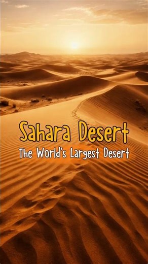 The Sahara Desert in 30 Seconds 🏜️