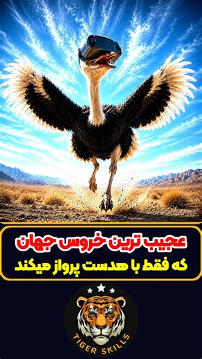 باهوش ترین مرغ دنیا که برای نجات زندگی اش فداکاری کرد! معرفی بهترین فیلم ها و سریال های جهان #review
