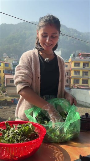 Hajur haru kasari pakaunu hunxa ? #sisnu #kanchikoeasynepalirecipe #nepalifood