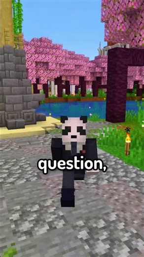 What country should you visit on the Earth SMP?