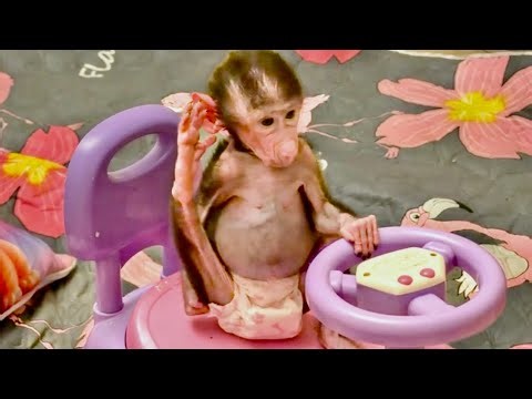 ПОДСМОТРЕННО-ПОДСЛУШАНО! Как ведет себя Николь, когда я спряталась?😂