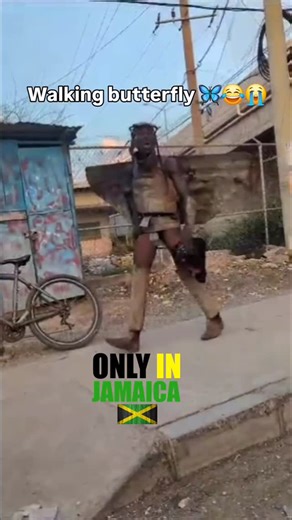 Only In Jamaica 🇯🇲 on Instagram: "What do butterfly say? #onlyinjamaica #jamaica #fyp #viral #explorepage✨"