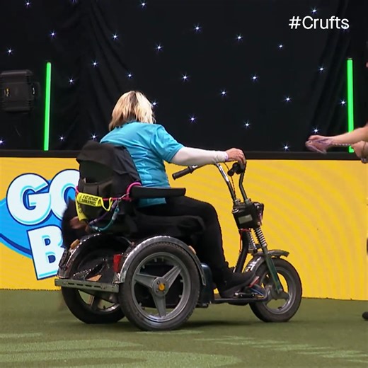 🗣️"Agility really is a sport for all" We couldn't agree more! 💚🐶 #Crufts | Crufts