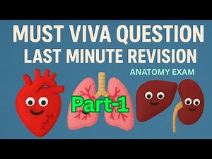 Exam in Anatomy: soft tissue viva Part 1
