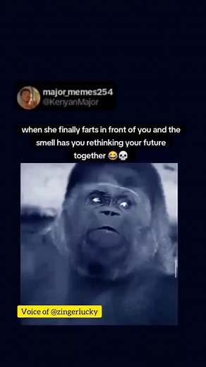 Fried beans???😂 #fart | ᴢɪɴɢᴇʀ ʟᴜᴄᴋʏ