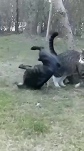 Woooow!!! | Deutsch lernen mit vielen Übungen