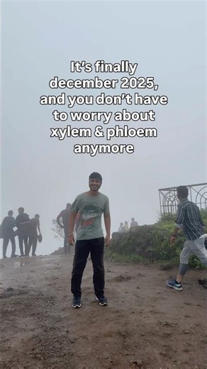 Xylem transports food😩👍🏻 | read description