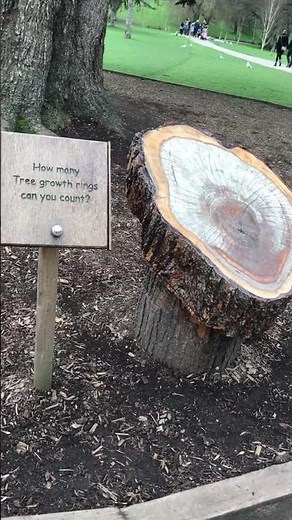 Things to do in Kent, England - Leeds Castle - Maidstone