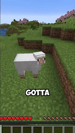 Best Minecraft Tips&Exploits Compilation #shorts