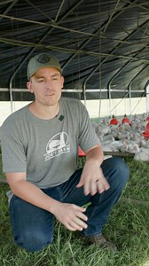 6.8K views · 140 reactions | Tired of mystery meat? Choose better. Wild Pastures delivers nutrient-rich meats raised on regenerative U.S. farms.  100% Grass-Fed Beef  Pasture-Raised Pork  No Antibiotics. No mRNA. ✨ Get $15 OFF + 20% OFF for life—today only! | Wild Pastures | Facebook