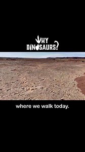Just over 4 weeks until the Hollywood premiere of this epic dinosaur documentary. Here is the official trailer! Learn more about the epic documentary here: https://www.whydinosaurs.com/ I am so excited for WHY DINOSAURS? 🦖🦕 | Dr Dean Lomax - Palaeontologist