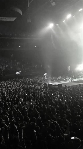 Ezhel Felaket Lyrics video #ezhel #felaket #concert #concerts #music #rap #lyric #lyrics