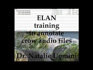 ELAN annotation example (New Caledonian crow audio)