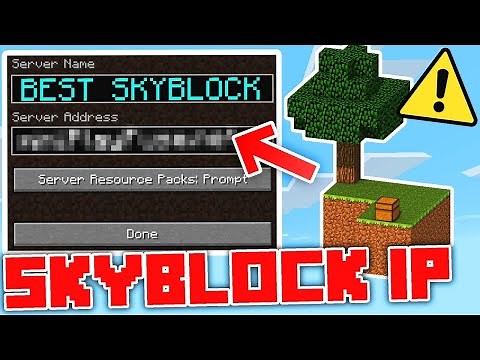 Best Minecraft SkyBlock server to Try in 2025! (1.21) 🍉