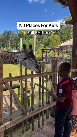 Explore Turtle Back Zoo in New Jersey with Your Family