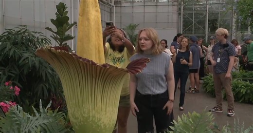 Spring break travel guide: The best Michigan destinations for families to visit