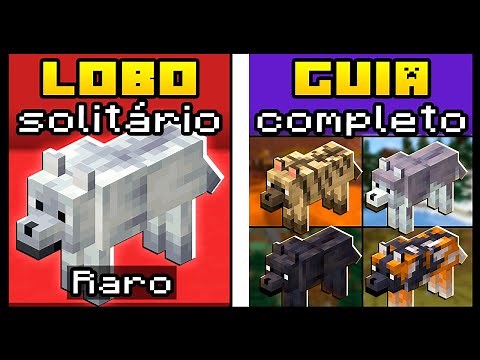 ONDE ENCONTRAR TODAS AS VARIANTES DE LOBOS DO MINECRAFT (GUIA COMPLETO)