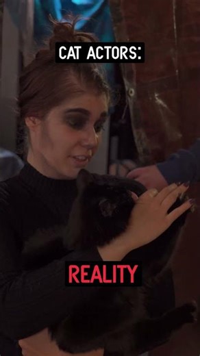 Everyone at RE is a professional (even the cats)