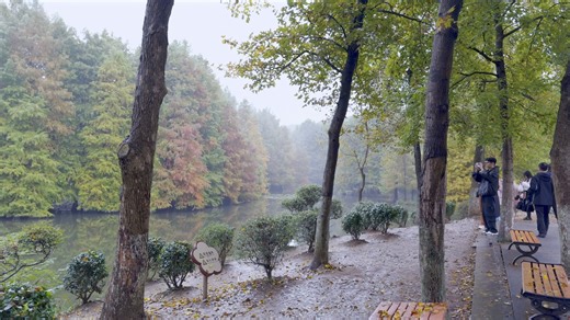 南京明孝陵2025 杜比视界 ｜iPhone 17 Pro Apple Log 2 ProRes 422