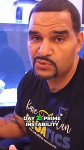 2.5K views · 22 reactions | Ready to dive into saltwater aquariums?...