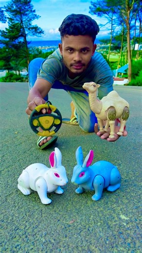 Rc Duita Rabbit 🐰 And Rc Akta Camel 🐪🫣