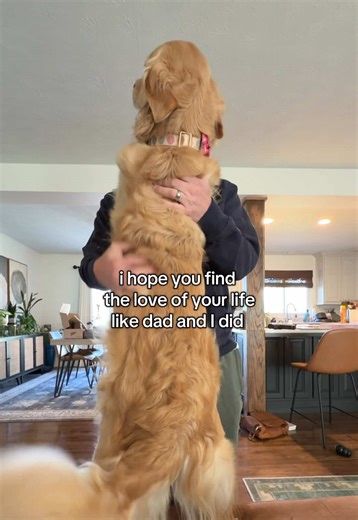 Especially mom 😂 #dogtok #goldenretrieverdad #dadsgirl | Dog Golden Retriever