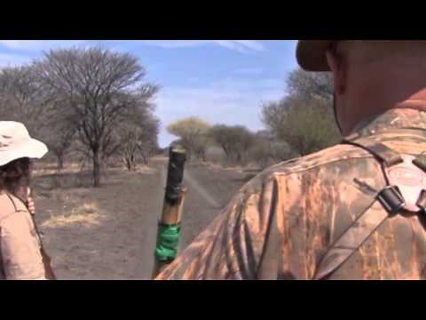 Eland Hunt in South Africa