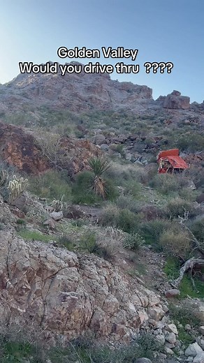 Exploring Golden Valley: Arizona's Scenic Desert Roads